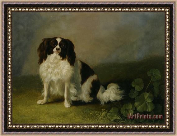 Jacob Philipp Hackert A King Charles Spaniel in a Landscape Framed Painting