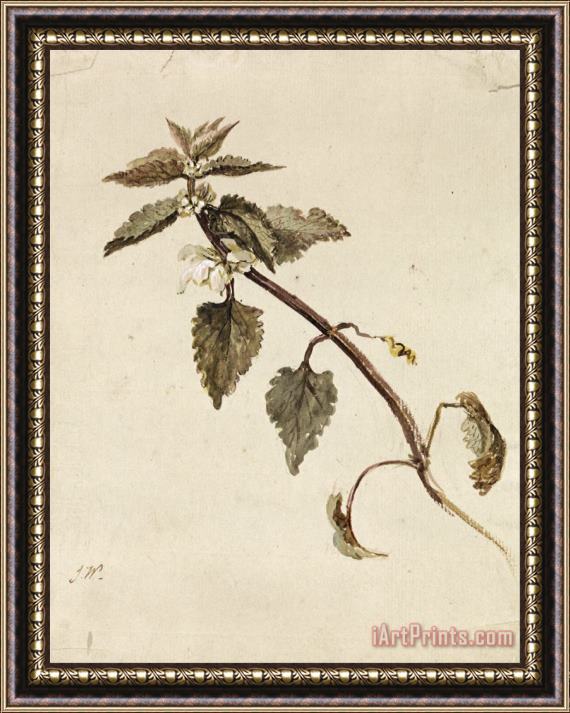 James Ward A Foliated Branch Framed Painting