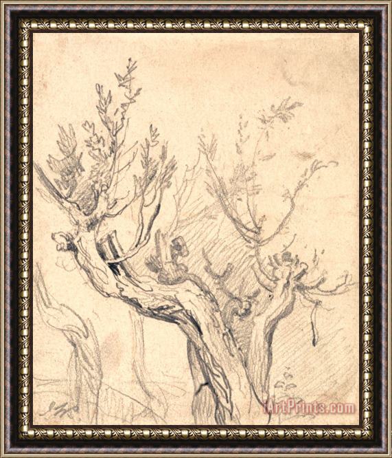 James Ward A Gnarled Tree Framed Painting