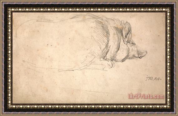 James Ward A Hog, Sleeping Framed Painting