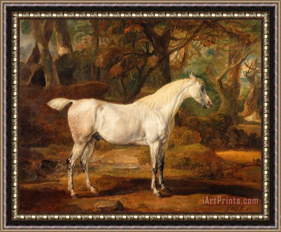 James Ward Grey Arabian Stallion, The Property of Sir Watkin Williams Wynn Framed Print