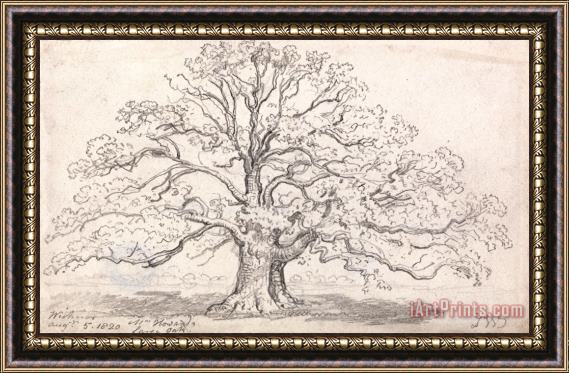 James Ward Mr. Howard's Large Oak, August 5, 1820 Framed Painting