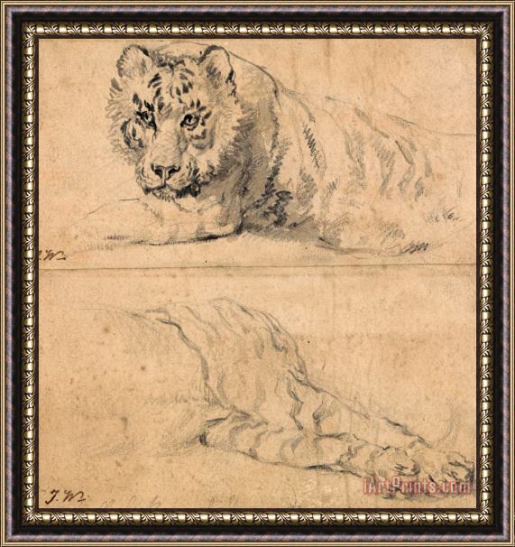 James Ward Studies of a Tiger; Above, Head And Shoulders; Below, Hindquarters Framed Painting