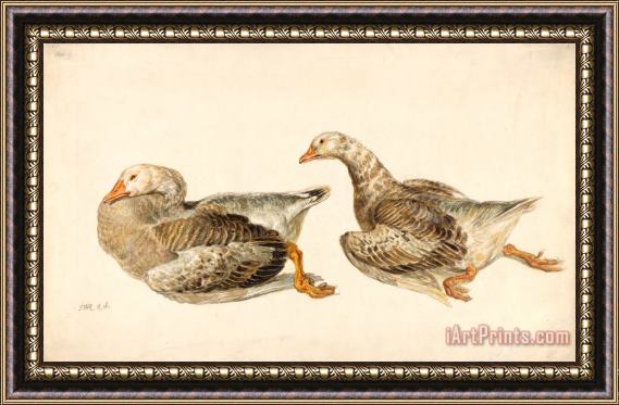 James Ward Studies of Geese Framed Painting