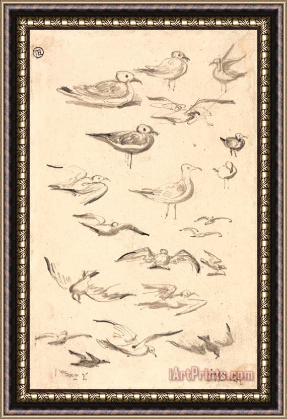 James Ward Studies of Gulls Framed Painting