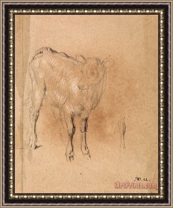 James Ward Study of a Calf Framed Print
