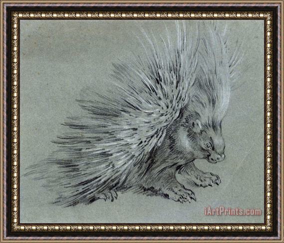 Jean Baptiste Oudry Porcupine Framed Print