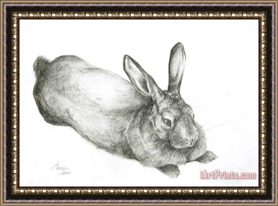 Jeanne Maze Rabbit Framed Painting