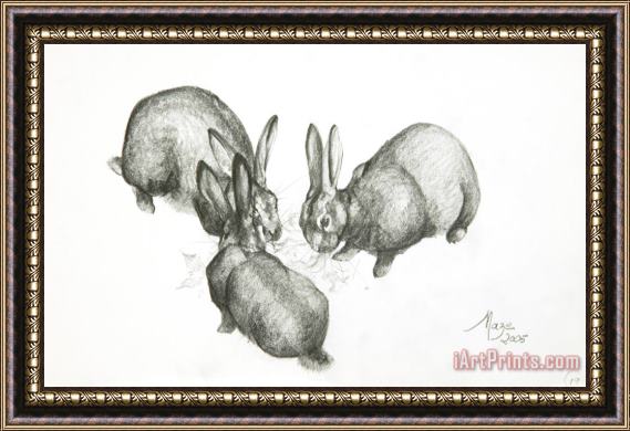 Jeanne Maze Rabbits Framed Print