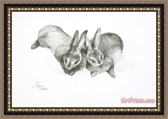 Jeanne Maze Rabbits Sleeping Framed Painting