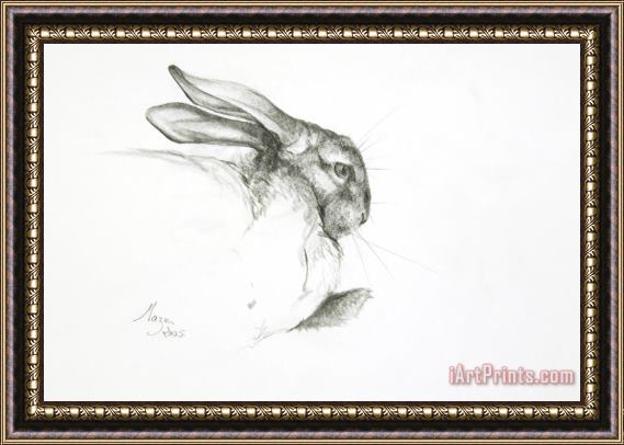 Jeanne Maze Study Of A Rabbit Framed Print