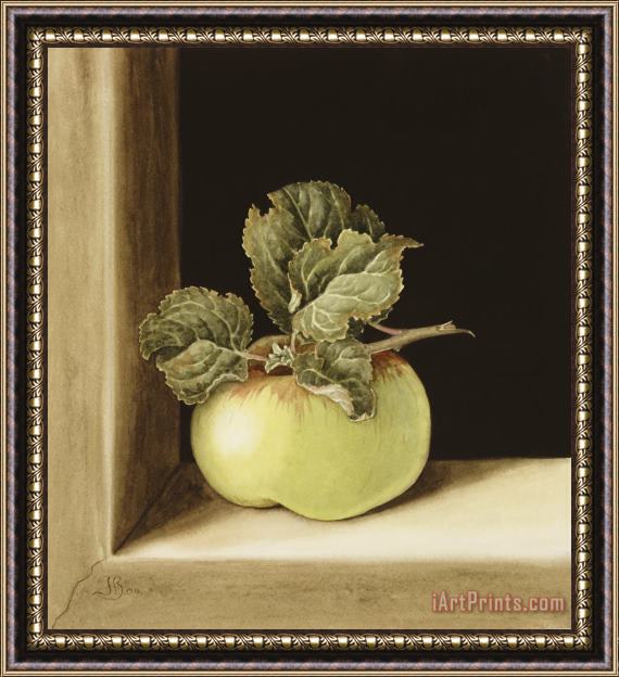 Jenny Barron Apple Framed Painting