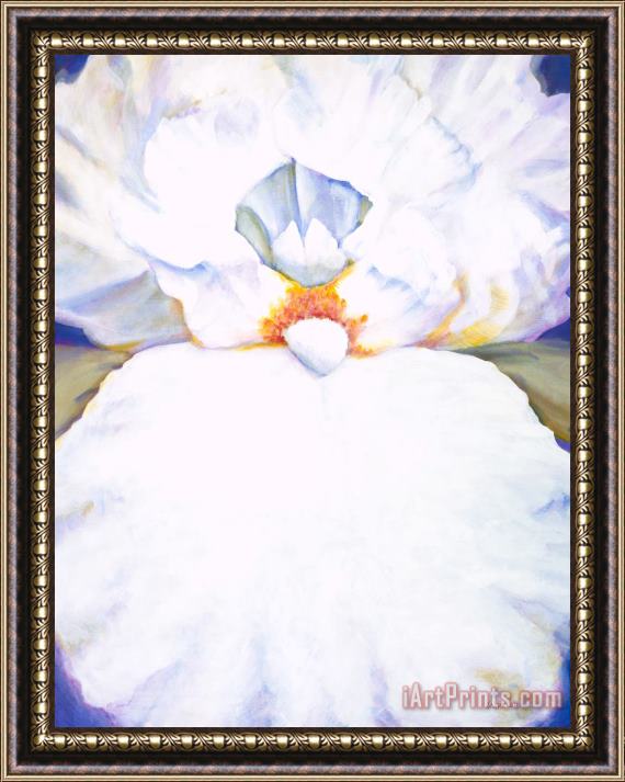 Jerome Lawrence Chastity II White Iris Framed Print