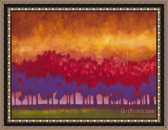 Jerome Lawrence Passion meets Twilight Framed Print