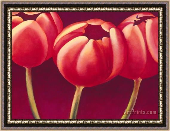 Jerome Lawrence Tulips are People XIV h Framed Print