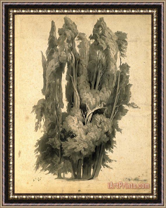 Johann Wilhelm Schirmer Cypresses in The Park at Villa D'este in Tivoli Framed Painting