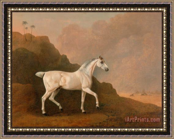 John Boultbee A Grey Arab Stallion in a Desert Landscape Framed Print