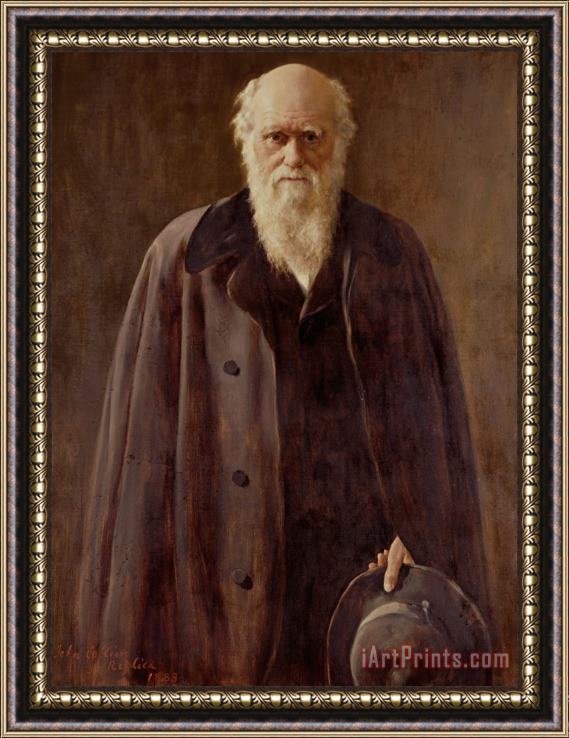 John Collier Portrait Of Charles Darwin Framed Painting
