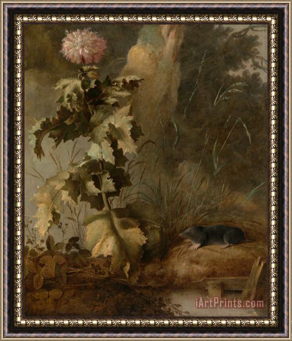 John Crome An Egyptian Poppy And a Water Mole Framed Painting