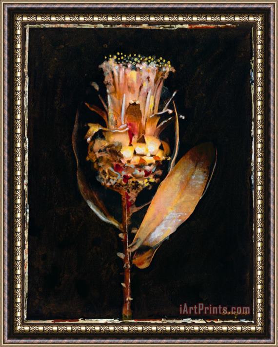 John Douglas Floral Negative V Framed Painting