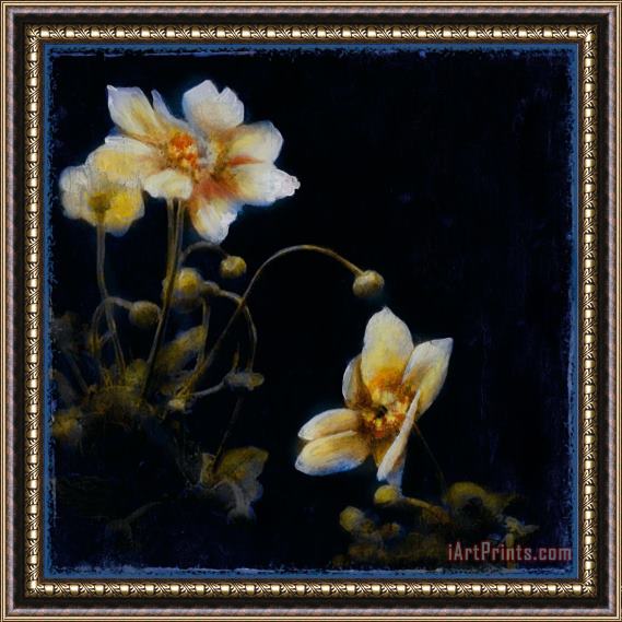 John Douglas Midsummer Night Bloom III Framed Painting