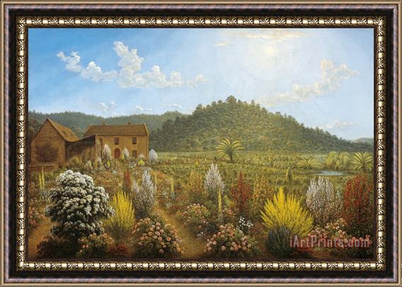 John Glover A View of The Artist's House And Garden, in Mills Plains, Van Diemen's Land Framed Painting