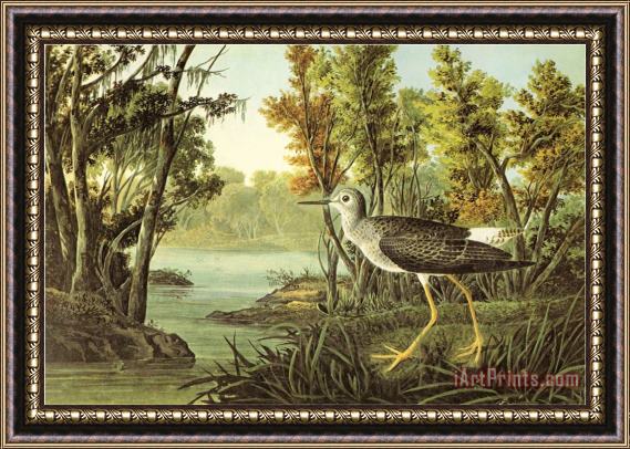 John James Audubon Lesser Yellow Legs Framed Painting
