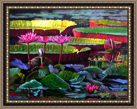John Lautermilch Patterns of Color and Light Framed Print