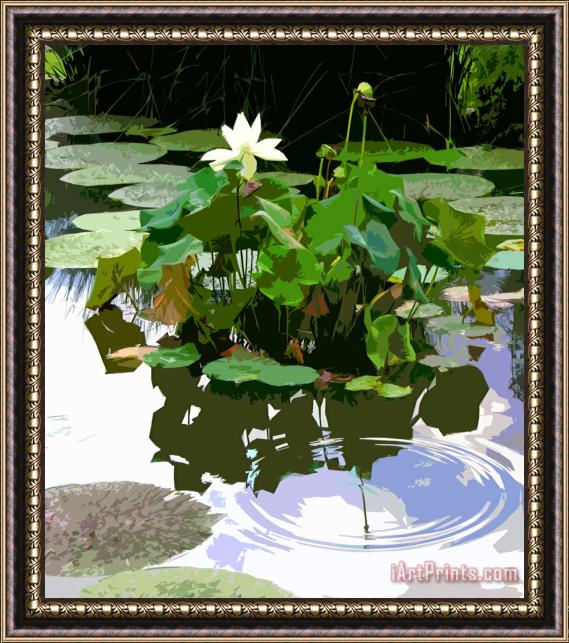 John Lautermilch Ripples on the Lotus Pond Framed Print