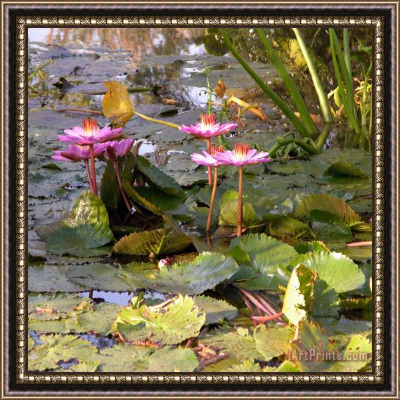 John Lautermilch Summer Time Lilies Framed Painting