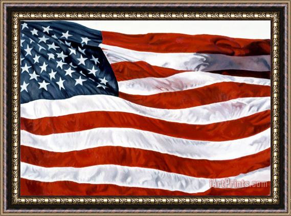 John Zaccheo American Flag Framed Print