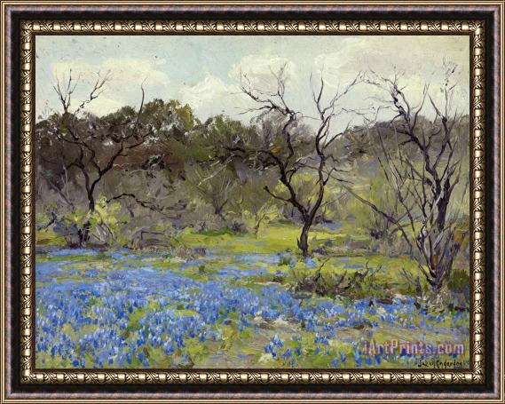 Julian Onderdonk Early Spring Bluebonnets And Mesquite Framed Print