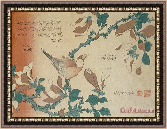 Katsushika Hokusai A Paddy Bird Perched on a Flowering Magnolia Branch Framed Print