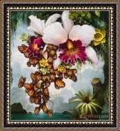Buy Framed Print