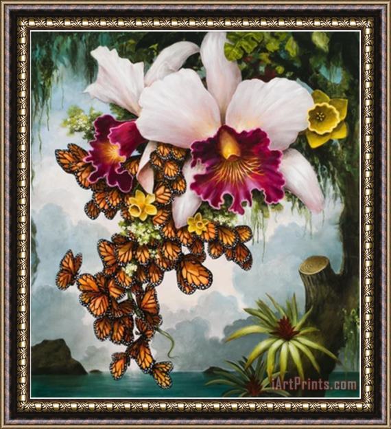 Kevin Sloan K03 Framed Print