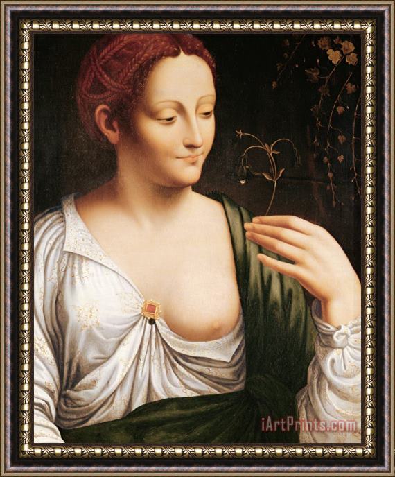 Leonardo da Vinci Columbine Framed Painting