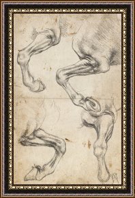 Study for Les Foins Framed Prints - Study For Horse Legs by Leonardo da Vinci