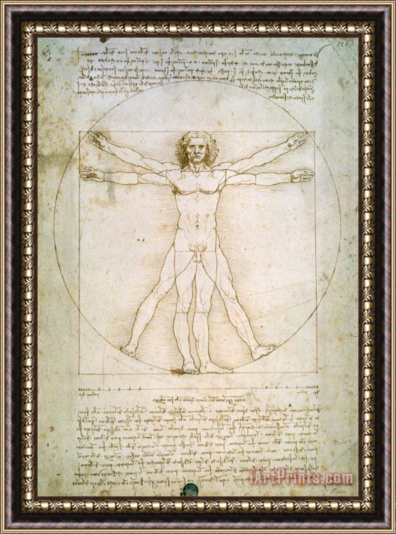 Leonardo da Vinci The Proportions of the human figure Framed Print