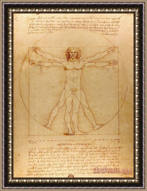 Leonardo da Vinci The Vitruvian Man Framed Print
