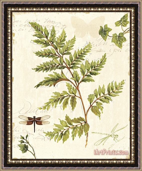 Lisa Audit Ivies And Ferns I Framed Painting