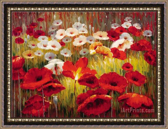 Lucas Santini Meadow Poppies II Framed Painting