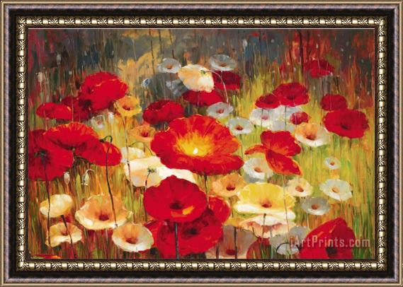 Lucas Santini Meadow Poppies Framed Print