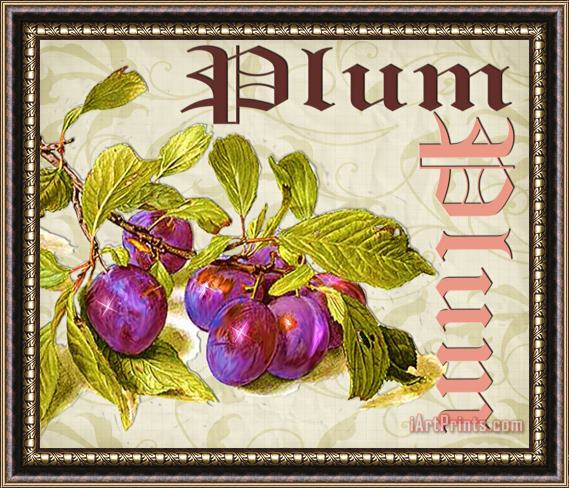 Lynell Withers Plum Framed Print