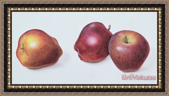 Margaret Ann Eden Red Apples Framed Print
