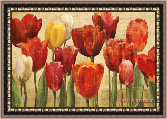 Marilyn Hageman Tulip Fantasy on Cream Framed Print