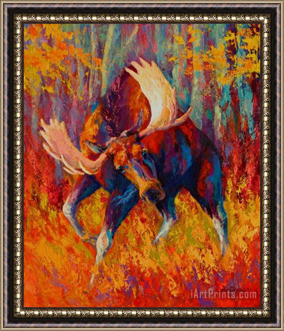 Marion Rose Imminent Charge - Bull Moose Framed Painting