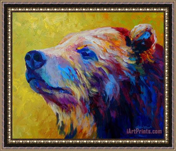 Marion Rose Pretty Boy - Grizzly Bear Framed Print