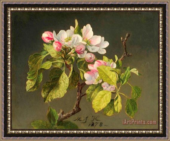 Martin Johnson Heade A Branch of Apple Blossoms And Buds Framed Painting