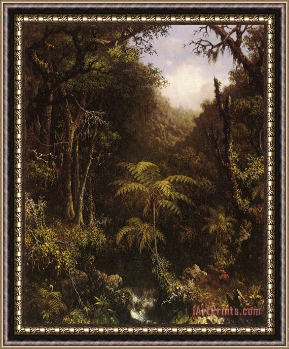 Martin Johnson Heade Brazilian Forest Framed Painting