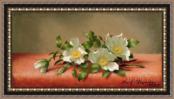 Martin Johnson Heade Cherokee Roses Framed Painting